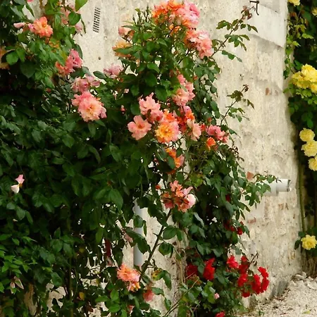 Maison d'hôtes La Bordette