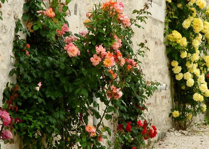 Pensjonat La Bordette